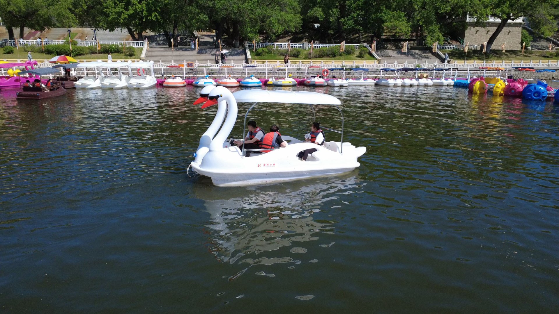 White swan-shaped family leisure boat